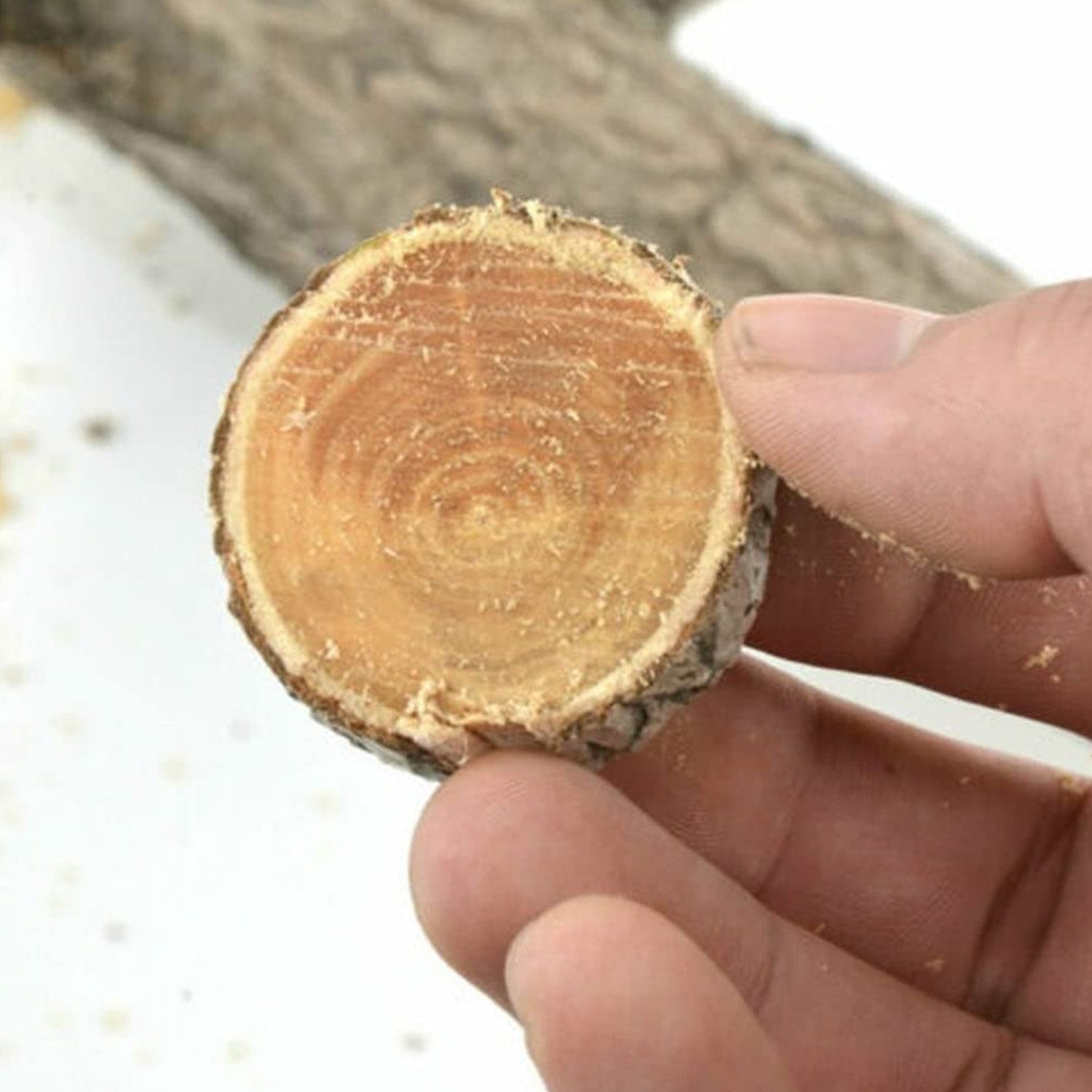 Portable Hand Saw High Strength Saw Small hand saw (34 Cm Long / 1 Pc) Portable Hand Saw High Strength Saw Small hand saw (34 Cm Long / 1 Pc)